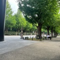 実際訪問したユーザーが直接撮影して投稿した北の丸公園公園北の丸公園の写真