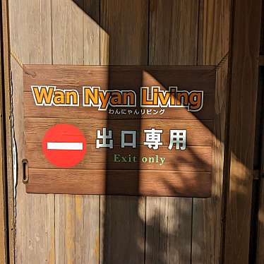 実際訪問したユーザーが直接撮影して投稿した大島動物ふれあい那須どうぶつ王国ふれあいドッグパークの写真