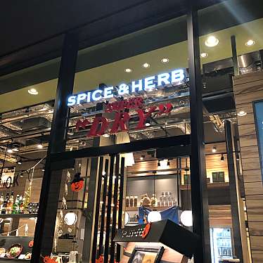 漆黒廉さんが投稿した中之島ビアホールのお店スパイス&ハーブスーパードライ 中之島店/SPICE&HERB SUPER DRYの写真