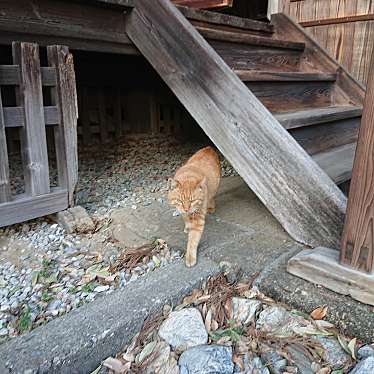 実際訪問したユーザーが直接撮影して投稿した植下町神社赤城神社の写真