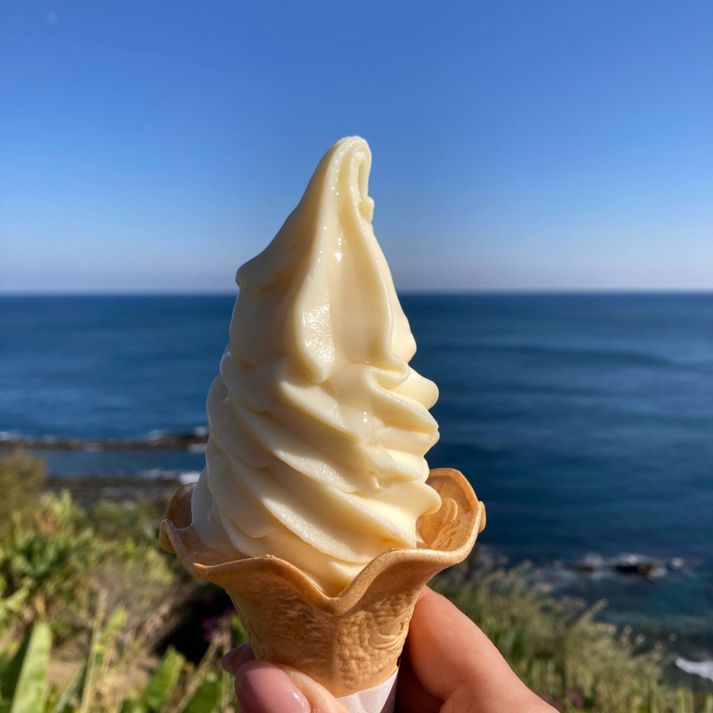 実際訪問したユーザーが直接撮影して投稿した内海定食屋レストラン堀切の写真