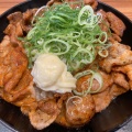 焼肉丼 - 実際訪問したユーザーが直接撮影して投稿した山王通韓国料理韓丼 岐阜関店の写真のメニュー情報