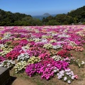 実際訪問したユーザーが直接撮影して投稿した能古島能古島の写真