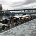 実際訪問したユーザーが直接撮影して投稿した天満橋京町屋形船大阪屋形船 雅遊・水雅の写真