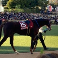 実際訪問したユーザーが直接撮影して投稿した古作競馬場中山競馬場の写真