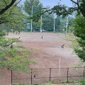 実際訪問したユーザーが直接撮影して投稿した宮崎公園宮崎第一公園の写真