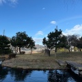 実際訪問したユーザーが直接撮影して投稿した天徳寺寺天徳寺の写真