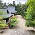 実際訪問したユーザーが直接撮影して投稿した梅ケ畑高雄町寺神護寺の写真