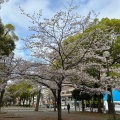 実際訪問したユーザーが直接撮影して投稿した長者町公園大通り公園の写真