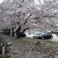 実際訪問したユーザーが直接撮影して投稿した香椎神社香椎宮の写真