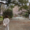 実際訪問したユーザーが直接撮影して投稿した梶原神社葛原岡神社の写真