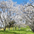 実際訪問したユーザーが直接撮影して投稿した三須古墳作山古墳の写真