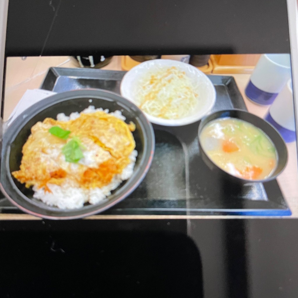 ユーザーが投稿したミニカツ丼セットの写真 - 実際訪問したユーザーが直接撮影して投稿した南三条西とんかつかつや 札幌すすきの店の写真