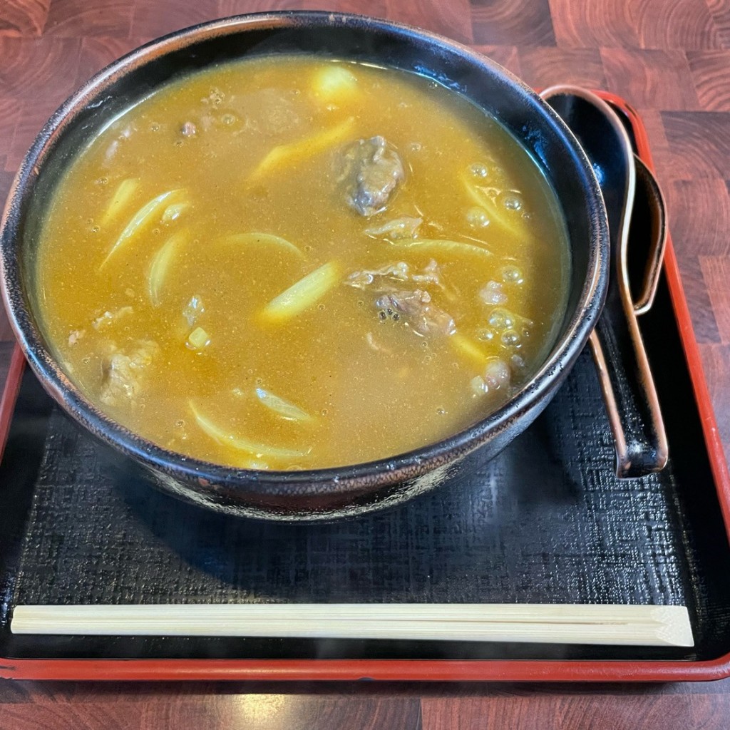 ユーザーが投稿した肉カレーうどんの写真 - 実際訪問したユーザーが直接撮影して投稿した南禅寺北ノ坊町うどん日の出うどんの写真