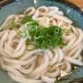 かけうどん - 実際訪問したユーザーが直接撮影して投稿した伊福町うどんさざなみ 伊福店の写真のメニュー情報