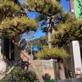 実際訪問したユーザーが直接撮影して投稿した磯浜町うなぎ松のぶの写真