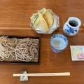 二色そばと野菜天ぷら - 実際訪問したユーザーが直接撮影して投稿した谷地そば蕎麦 和太奈部の写真のメニュー情報