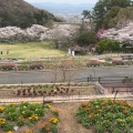 実際訪問したユーザーが直接撮影して投稿した東坂本植物園 / 樹木園和歌山県植物公園 緑花センターの写真