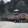 実際訪問したユーザーが直接撮影して投稿した嵐山虚空蔵山町寺法輪寺の写真