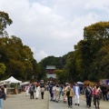 実際訪問したユーザーが直接撮影して投稿した雪ノ下神社鶴岡八幡宮の写真