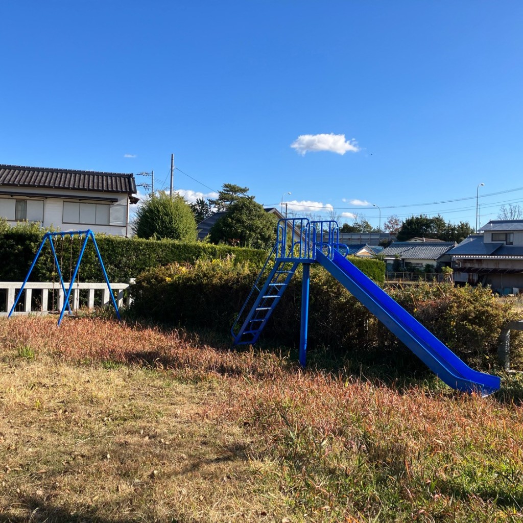 実際訪問したユーザーが直接撮影して投稿した小山公園井塚公園の写真