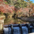 実際訪問したユーザーが直接撮影して投稿した岩屋町公園岩屋堂公園の写真