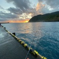 実際訪問したユーザーが直接撮影して投稿した島八丈島の写真