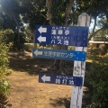 実際訪問したユーザーが直接撮影して投稿した弁天公園千葉公園の写真