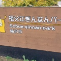 実際訪問したユーザーが直接撮影して投稿した祖父江町山崎公園祖父江ぎんなんパークの写真