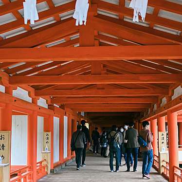 mii_41さんが投稿した宮島町神社のお店厳島神社/イツクシマジンジャの写真