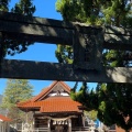 実際訪問したユーザーが直接撮影して投稿した相田神社萩尾山神社の写真