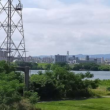 実際訪問したユーザーが直接撮影して投稿した大道南公園淀川河川公園の写真