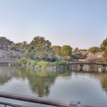 実際訪問したユーザーが直接撮影して投稿した三の丸公園名城公園の写真