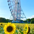 実際訪問したユーザーが直接撮影して投稿した臨海町公園東京都立葛西臨海公園の写真