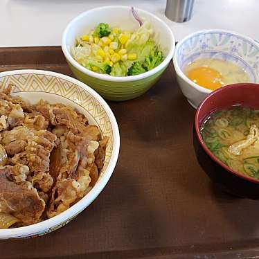 実際訪問したユーザーが直接撮影して投稿した中央牛丼すき家 池上通り中央店の写真