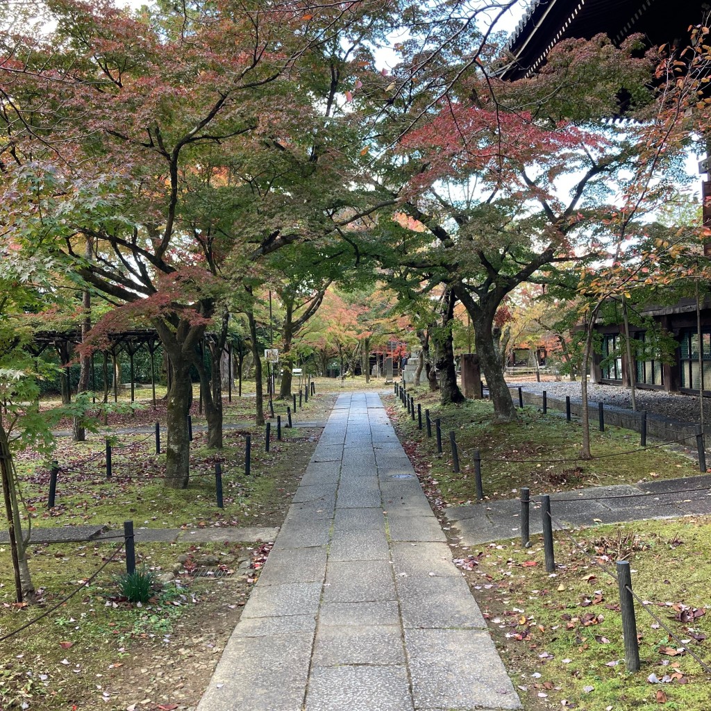 マグノリアうさぎさんが投稿した浄土寺真如町寺のお店真正極楽寺三重塔/シンセイゴクラクテラサンジュウノトウの写真