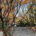 実際訪問したユーザーが直接撮影して投稿した龍安寺御陵ノ下町寺龍安寺の写真