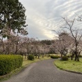 実際訪問したユーザーが直接撮影して投稿した平和公園公園平和公園の写真