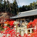 実際訪問したユーザーが直接撮影して投稿した萩尾寺呑山観音寺の写真