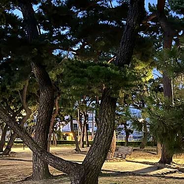 実際訪問したユーザーが直接撮影して投稿した浜芦屋町オブジェ阪神・淡路大震災慰霊と復興のモニュメントの写真