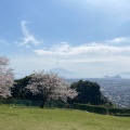 実際訪問したユーザーが直接撮影して投稿した国分上小川公園国分城山公園の写真