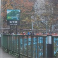 実際訪問したユーザーが直接撮影して投稿した黒部峡谷口地域名所後曳橋の写真