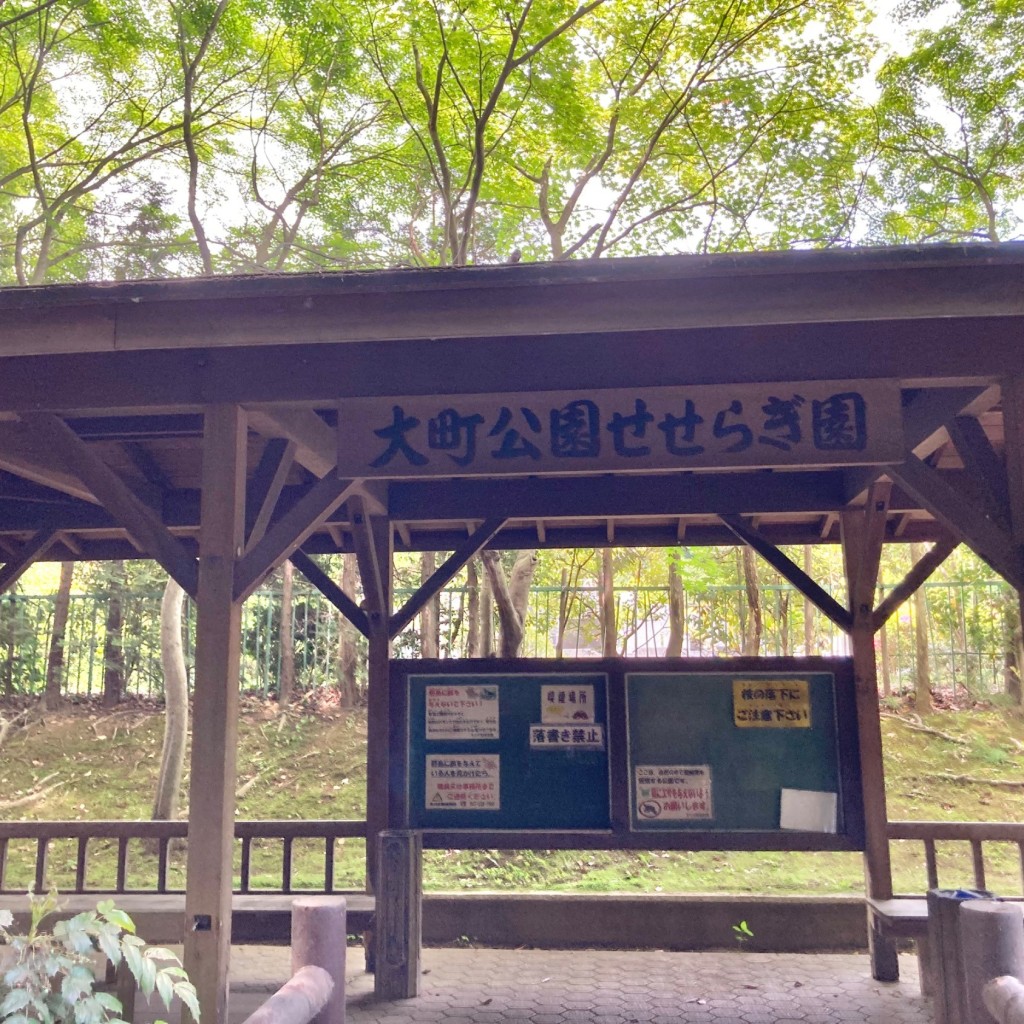 実際訪問したユーザーが直接撮影して投稿した大野町公園せせらぎ園の写真