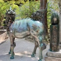 実際訪問したユーザーが直接撮影して投稿した宰府神社太宰府天満宮の写真