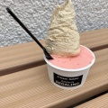 ダブル - 実際訪問したユーザーが直接撮影して投稿した南大沢アイスクリームGelateria REGALINOの写真のメニュー情報