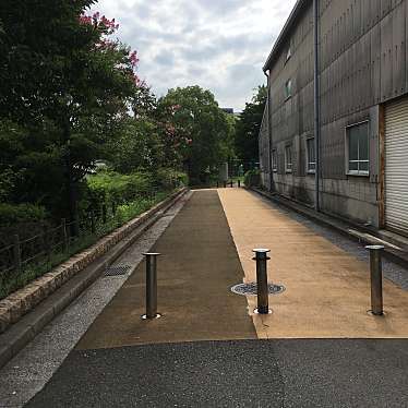 ぶどううり・くすこさんが投稿した中在家町公園のお店中在家緑地/ナカザイケリョクチの写真