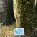 実際訪問したユーザーが直接撮影して投稿した綿貫町公園群馬県立都市公園 群馬の森の写真