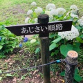 実際訪問したユーザーが直接撮影して投稿した麻溝台公園相模原麻溝公園の写真