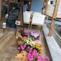 実際訪問したユーザーが直接撮影して投稿した撫養町斎田カフェれんまるカフェの写真