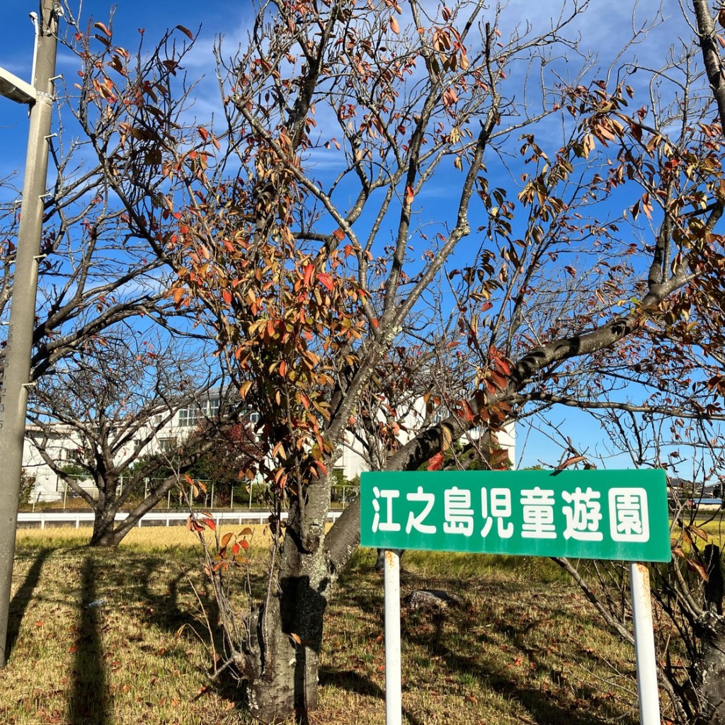 実際訪問したユーザーが直接撮影して投稿した江之島町公園江之島児童公園の写真